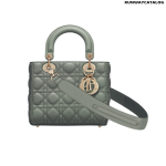 Christian Dior My ABCDior lambskin bag