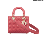 Christian Dior My ABCDior lambskin bag