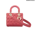 Christian Dior My ABCDior lambskin bag