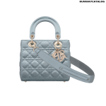 Chrisatian Dior My ABCDior satin bag