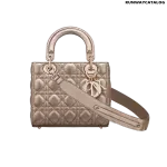 Christian Dior My ABCDior calfskin bag