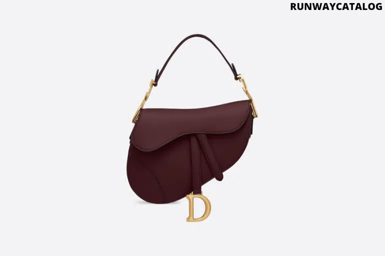 Christian Dior Saddle calfskin bag