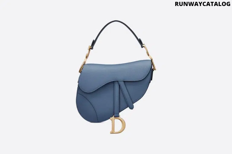 Christian Dior Saddle calfskin bag