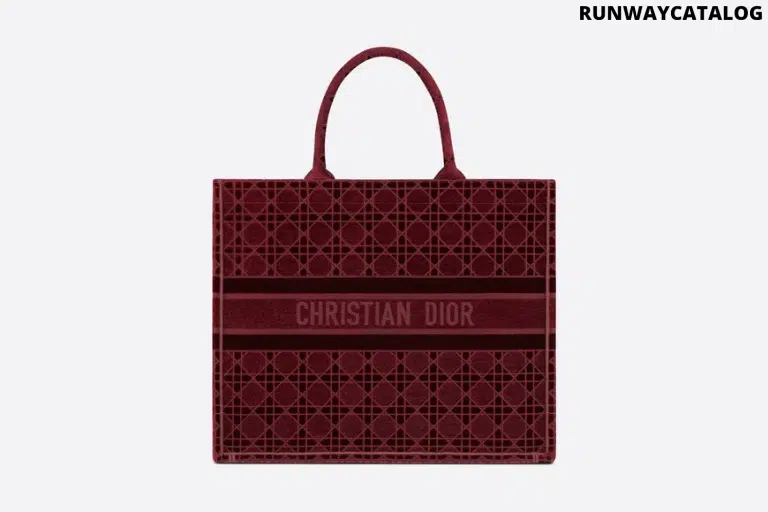 Christian Dior Book Tote