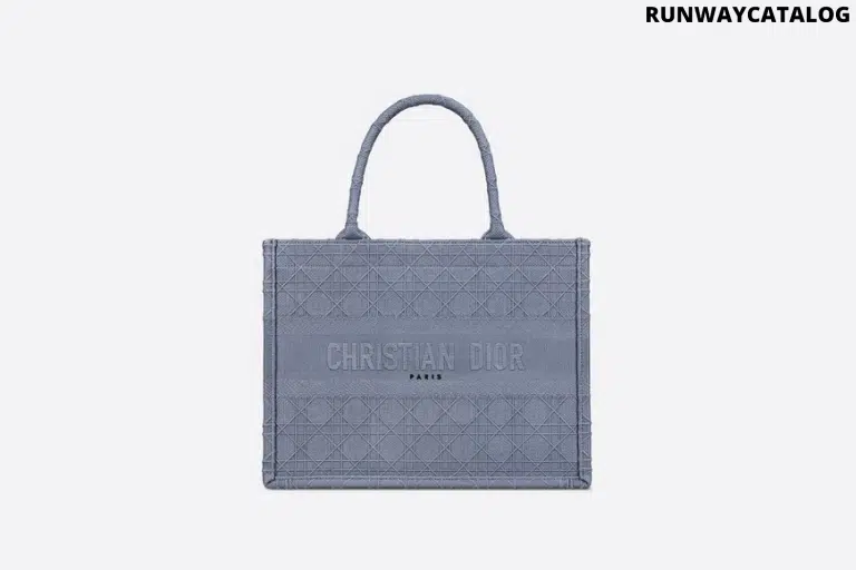 Christian Dior Small Dior Book Tote