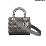 Christian Dior My ABCDior calfskin bag