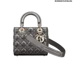 Christian Dior My ABCDior calfskin bag