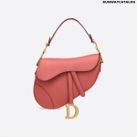 Christian Dior Saddle calfskin bag