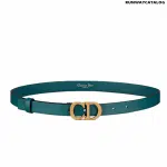 Christian Dior Saddle Belt