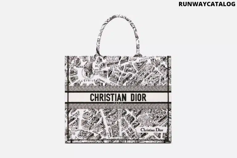 LARGE DIOR BOOK TOTE