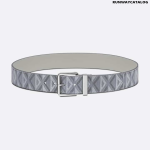 Dior Gray CD Diamond Canvas and Dior Gray Smooth Calfskin, 40 MM