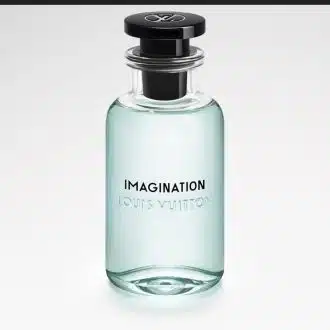 Imagination