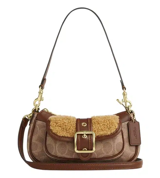Brown Ashton Mini Shoulder Bag