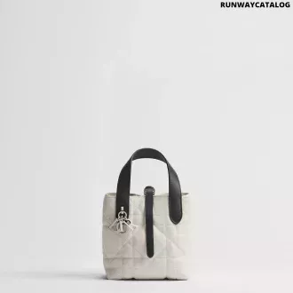 Dior Toujours Vertical Nano Tote Bag