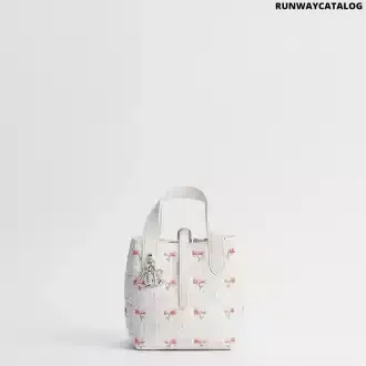 Dioramour Dior Toujours Vertical Nano Tote Bag